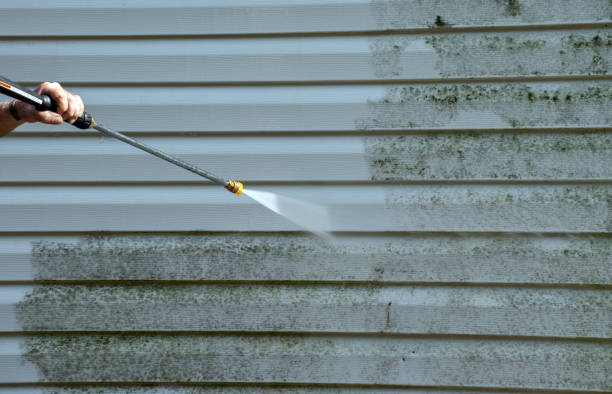 Best Sidewalk Pressure Washing  in Grayvle, IL