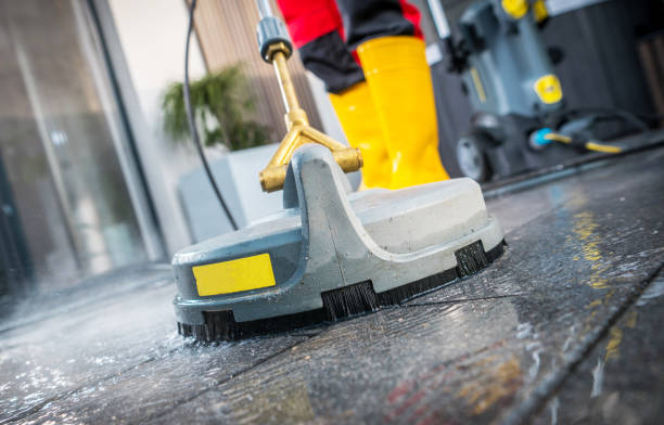 Best House Pressure Washing  in Grayvle, IL