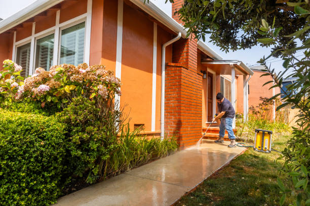 Best Affordable Power Washing  in Grayvle, IL