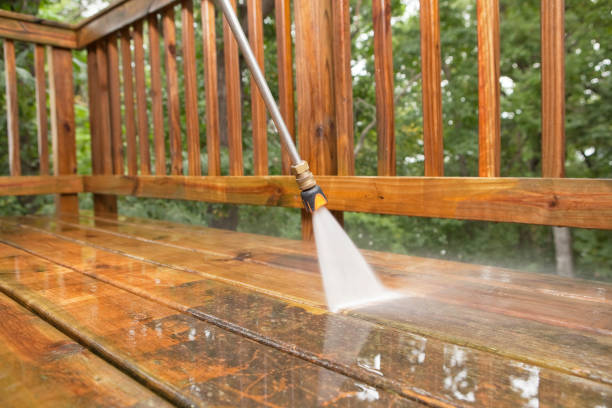 Best Fence Pressure Washing  in Grayvle, IL