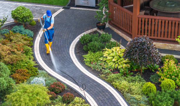 Best Power Washing Near Me  in Grayvle, IL